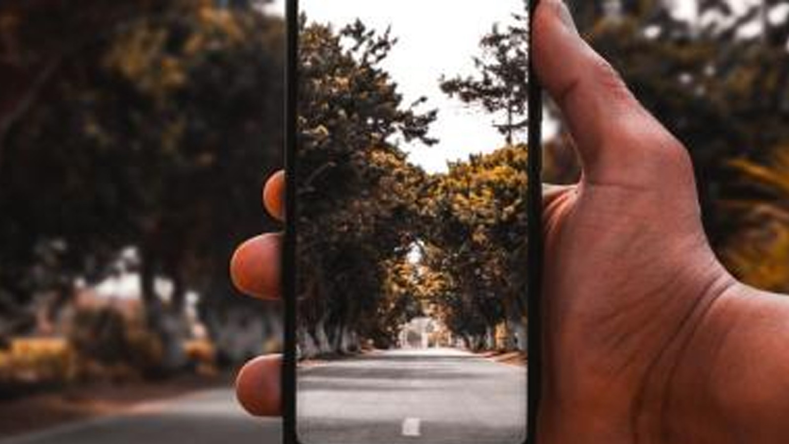 Telefonla sürekli fotoğraf çekenler dikkat: Anılarınızın ve hafızanızın düşmanı olabilir!