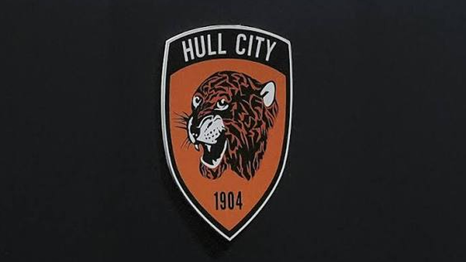 Hull City Aston Villa maçı saat kaçta, hangi kanalda?