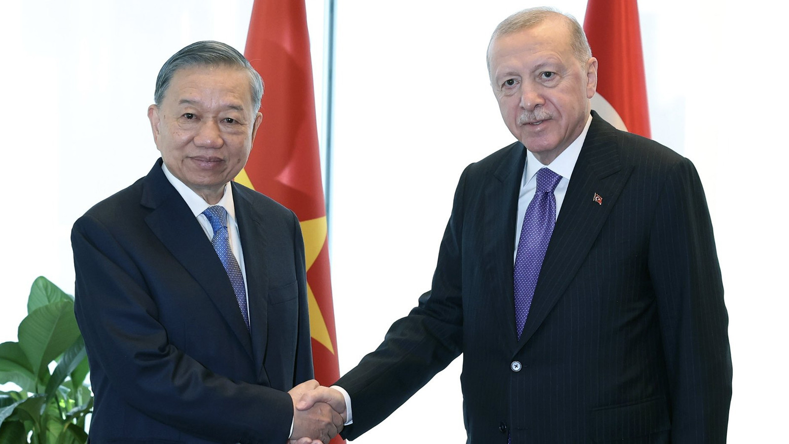 Başkan Erdoğan Vietnam Devlet Başkanı ile görüştü