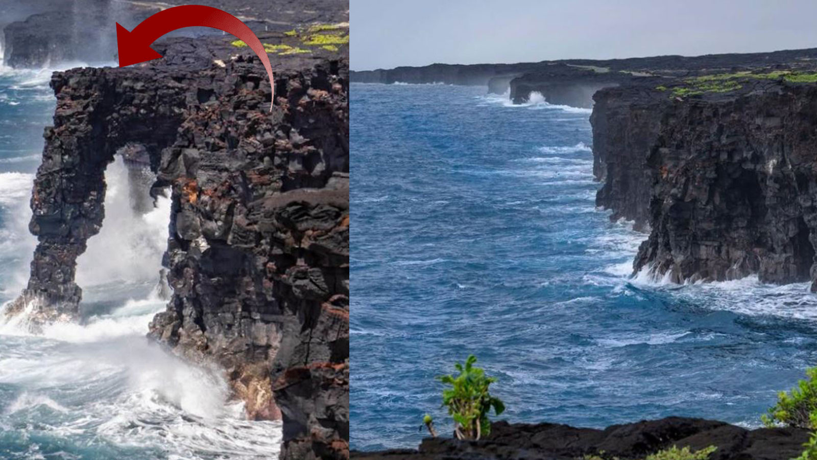 550 yıldır ayaktaydı! Hawaii’nin simgesini okyanus yuttu!
