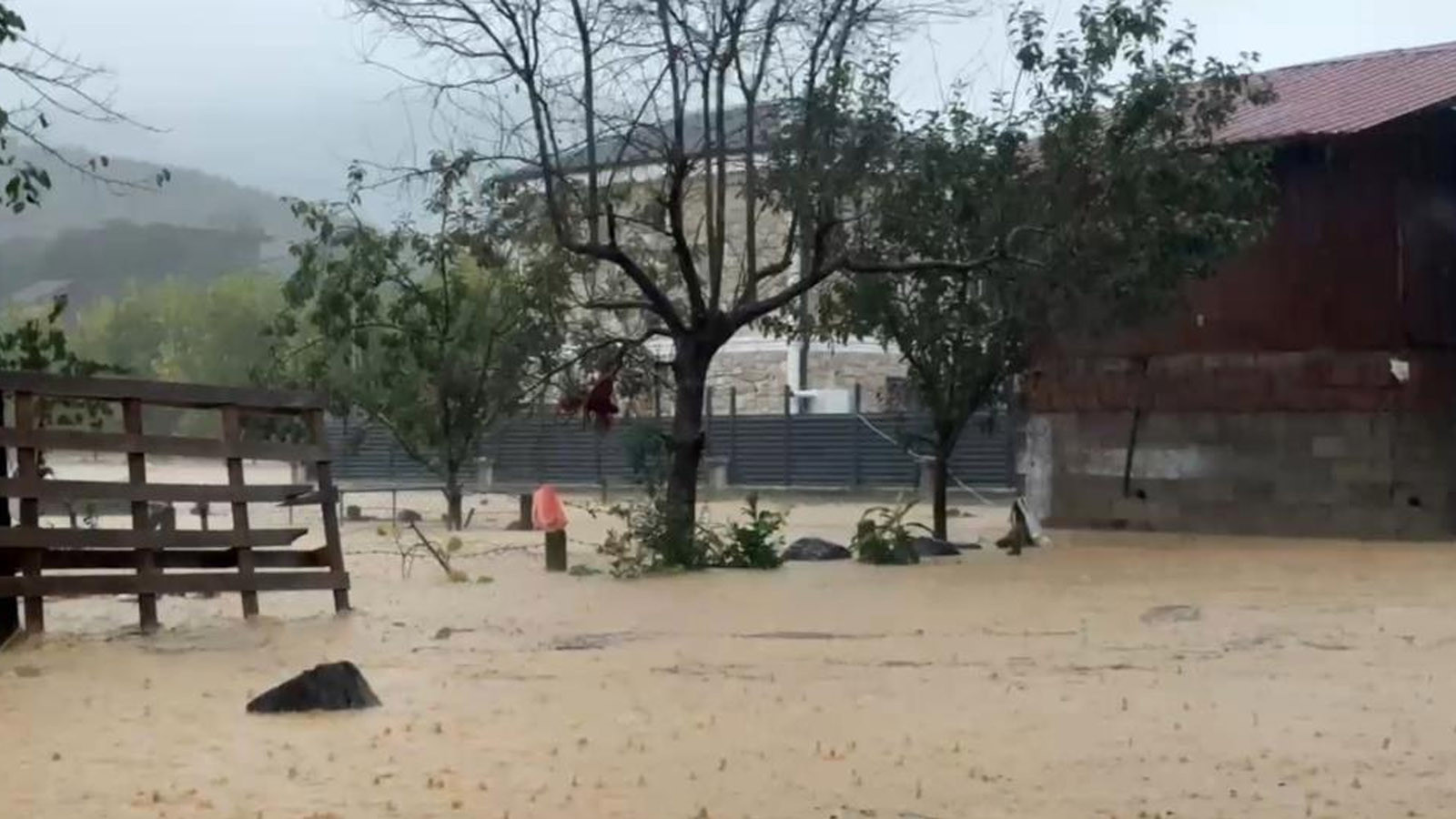 Sakarya’yı sel vurdu; bir mahalle sulara gömüldü, 60 bin kanatlı hayvan öldü