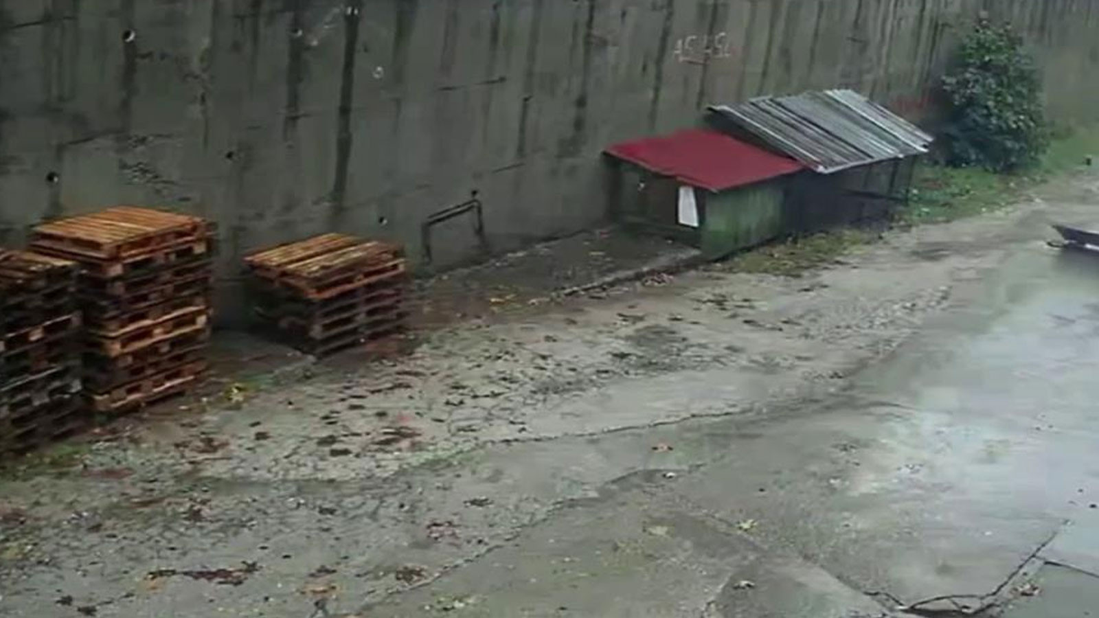 Zonguldak'ta sağanak yağış istinat duvarını çökertti